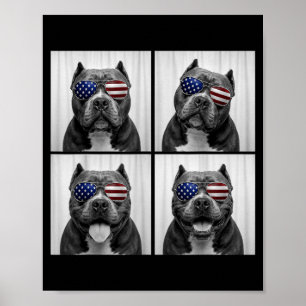 Affiche Bully américain 4 juillet Drapeau américain Chien