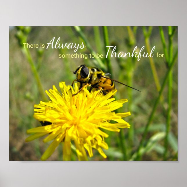 Affiche Bumble Bee Jaune Dandelion Toujours Merci (Devant)