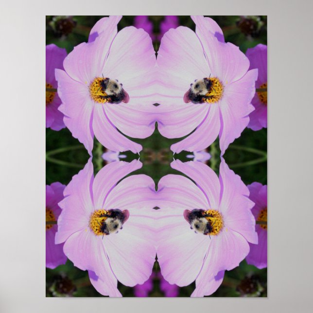 Affiche Bumble Bee On Rose Cosmos Flower Abstrait (Devant)