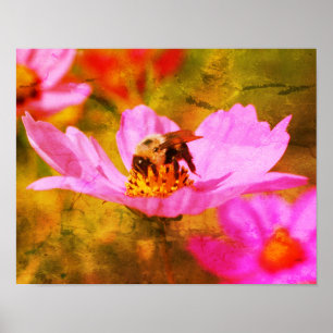 Affiche Bumble Bee On Rose Cosmos Flower Abstrait