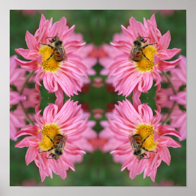 Affiche Bumble Bee On Rose Daisy Flower Abstrait (Devant)
