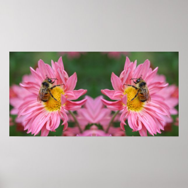 Affiche Bumble Bee Sur Pink Daisy Flower Miroir Abstrait (Devant)
