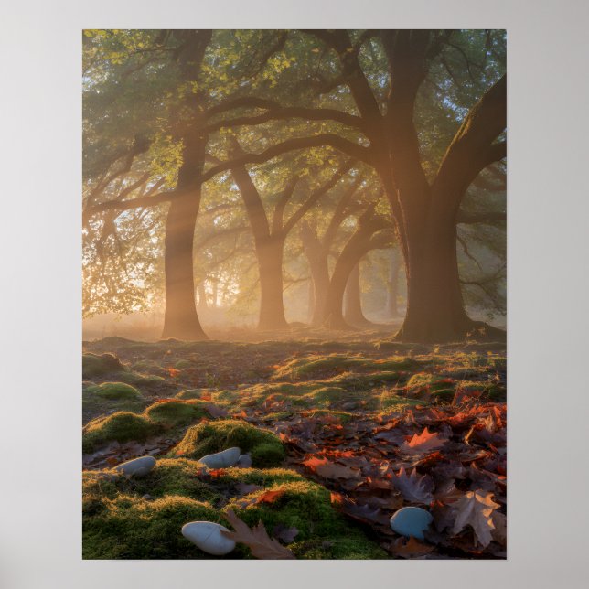 Affiche Bumpy Path (Devant)