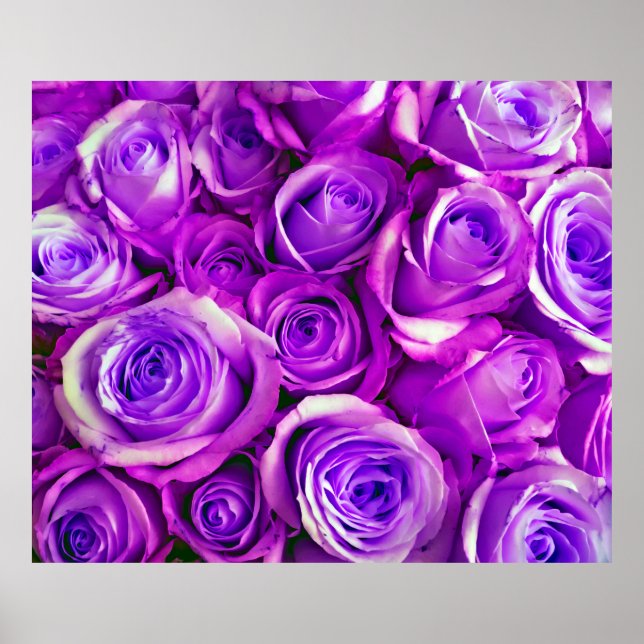 Affiche Bunch Rose arrière - plan Saint Valentin Symbole d (Devant)