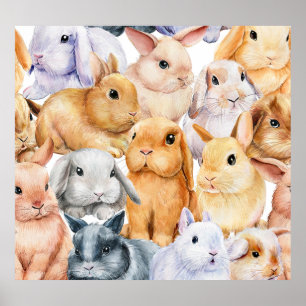 Affiche Bunnies Aquarelle Arrière - plan animal