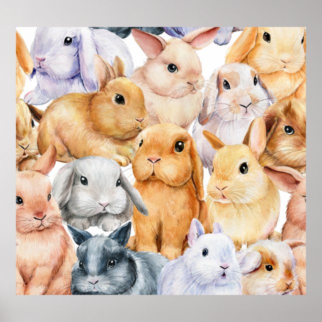 Affiche Bunnies Aquarelle Arrière - plan animal (Devant)