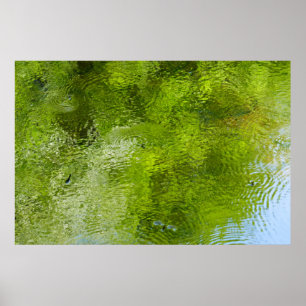 Affiche Burets d'eau dans le parc national de Laurel Hill