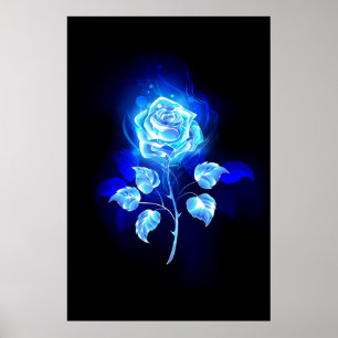 Affiche Burning Blue Rose