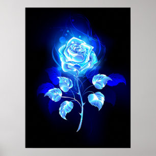 Affiche Burning Blue Rose