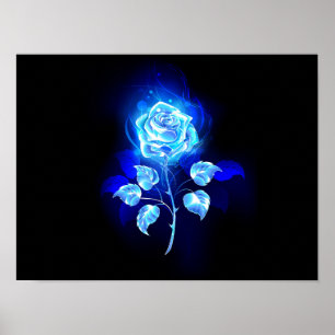 Affiche Burning Blue Rose