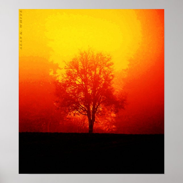 Affiche Burning Tree (Devant)