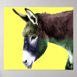 Affiche Burro de beaucoup de couleurs