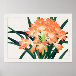 Affiche Bush Lily, Clivia miniata, Fleurs, Tanigami Kona,