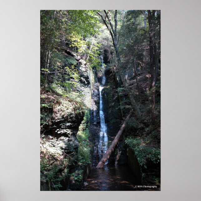 Affiche Bushkill Falls in the Poconos. imprimer 0206 (Devant)