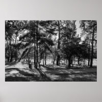 Bute Park en été après-midi. Cardiff, Pays de Gall