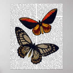 Affiche Butterflies 3