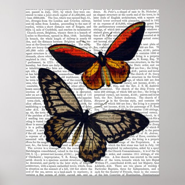 Affiche Butterflies 3 (Devant)