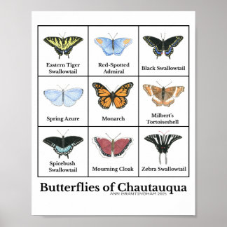 Affiche Butterflies of Chautauqua