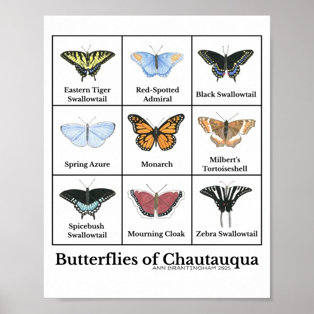 Affiche Butterflies of Chautauqua (Devant)
