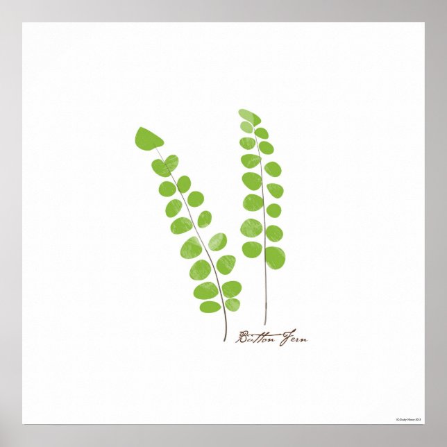 Affiche Button Fern Illustration |  Fern Botanical Print (Devant)