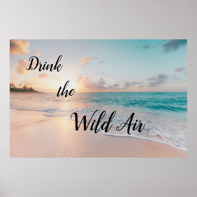 Affiche Buvez l'affiche Wild Air (Devant)