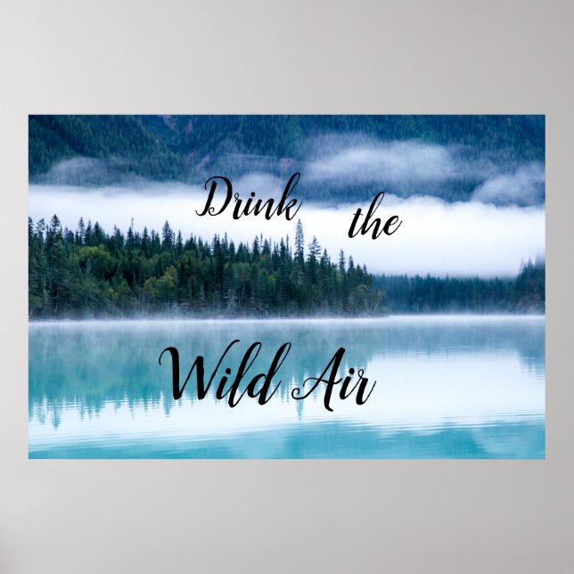 Affiche Buvez l'affiche Wild Air (Devant)