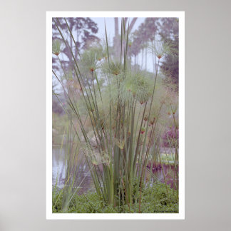 Affiche By the Water, Père Noël Barbara (poster)