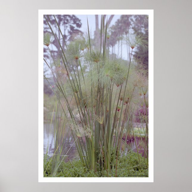 Affiche By the Water, Père Noël Barbara (poster) (Devant)