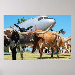 Affiche C-47 Skytrain au Texas