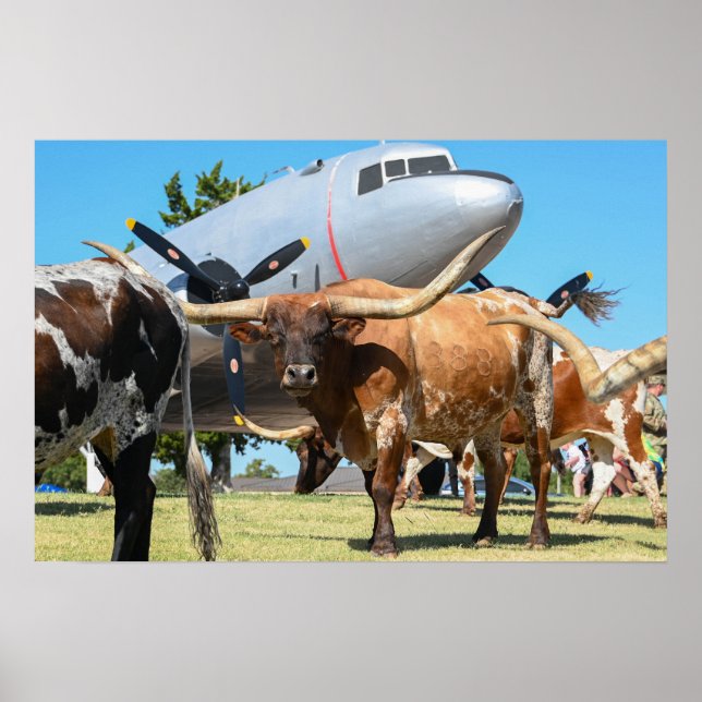 Affiche C-47 Skytrain au Texas (Devant)