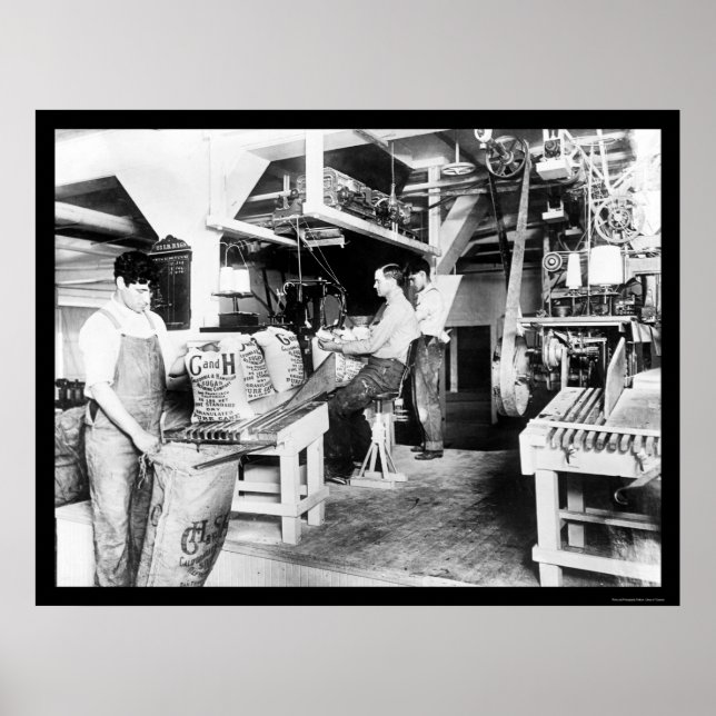 Affiche C & H Traitement du sucre 1914 (Devant)