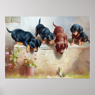 Affiche C. Reichert Peinture Chiots et grenouilles de Dach