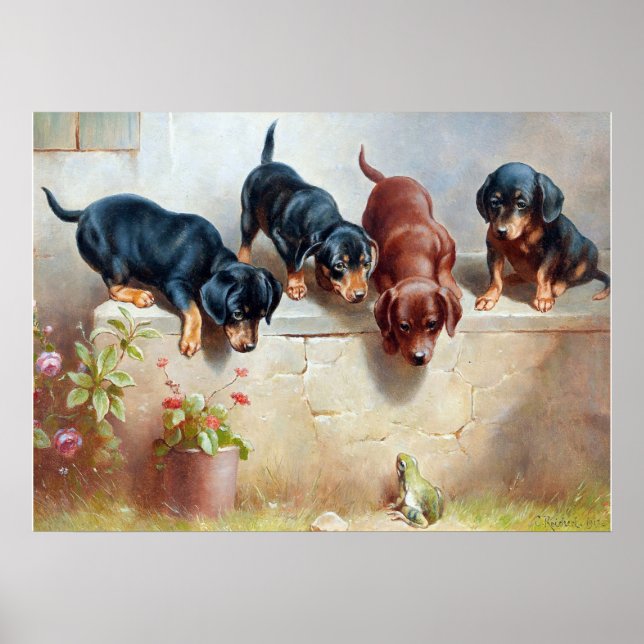 Affiche C. Reichert Peinture Chiots et grenouilles de Dach (Devant)