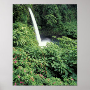 Affiche CA, Costa Rica. Cascade de La Paz et impatientes
