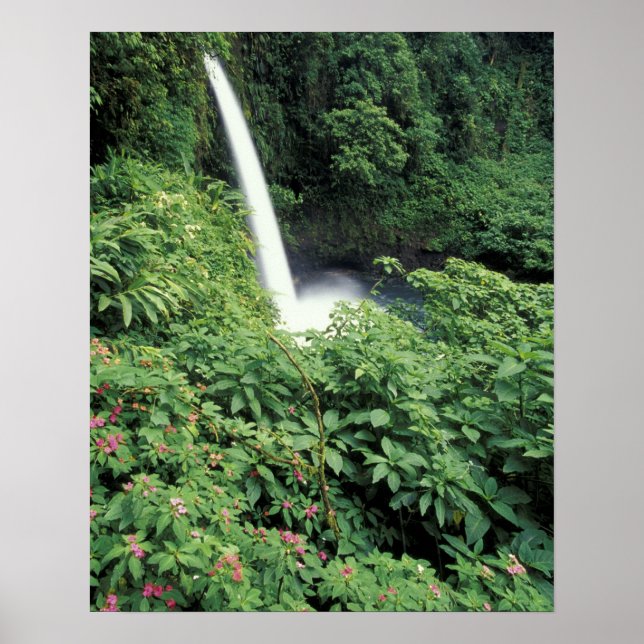 Affiche CA, Costa Rica. Cascade de La Paz et impatientes (Devant)