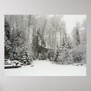Affiche Cabine en chutes de neige