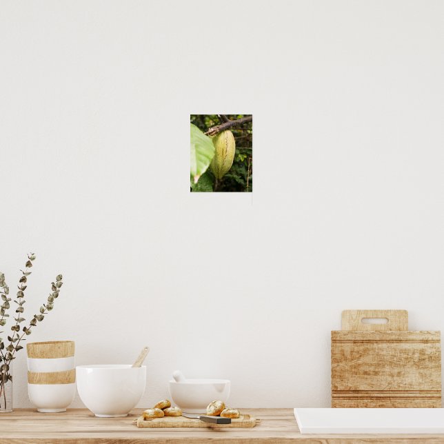Affiche cabosse de cacao (Cuisine)