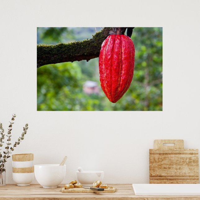 Affiche cabosse rouge (Cuisine)