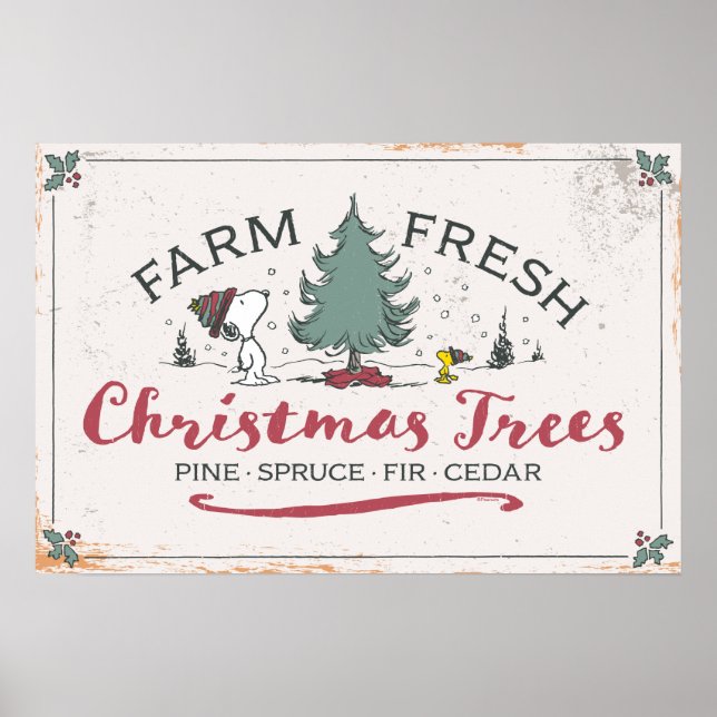 Affiche cacahuètes | Arbres de Noël frais de ferme (Devant)