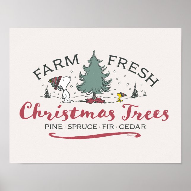 Affiche cacahuètes | Arbres de Noël frais de ferme (Devant)