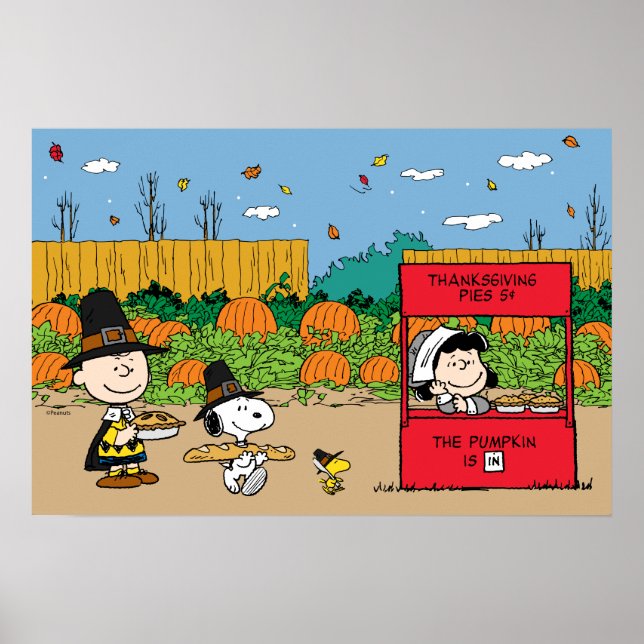 Affiche cacahuètes | Charlie Brown Thanksgiving (Devant)