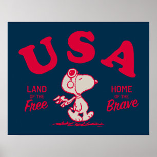 Affiche cacahuètes   Snoopy USA Land of the Free