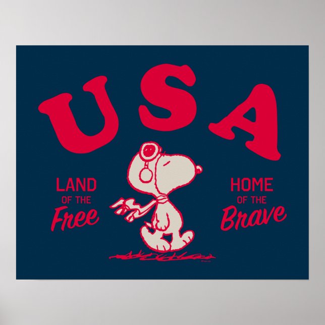 Affiche cacahuètes | Snoopy USA Land of the Free (Devant)
