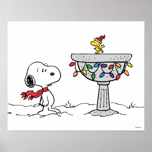 Affiche cacahuètes | Snoopy & Woodstock Froid Birdbath (Devant)