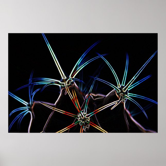 Affiche Cactus 1 wapcna (Devant)