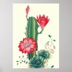 Affiche Cactus avec fleurs