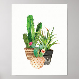 Affiche Cactus d'aquarelle et groupe succulent