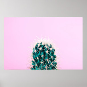 Affiche Cactus de Prickley sur le rose