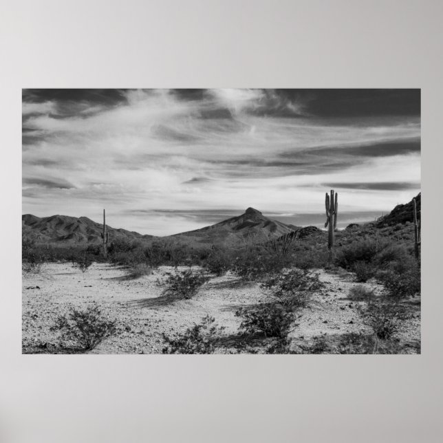 Affiche Cactus en sable blanc (Devant)