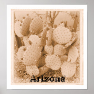 Affiche cactus en sérigraphie